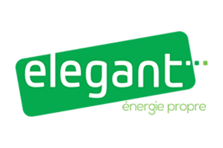 Elegant Logo