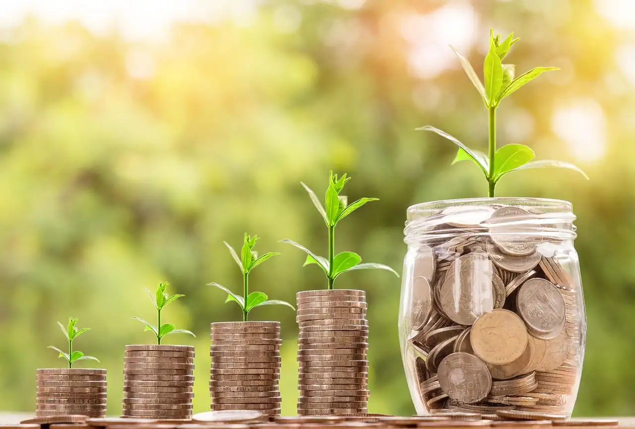 Piles de pièces de monnaie croissantes avec des jeunes pousses qui symbolisent les économies financières réalisées
